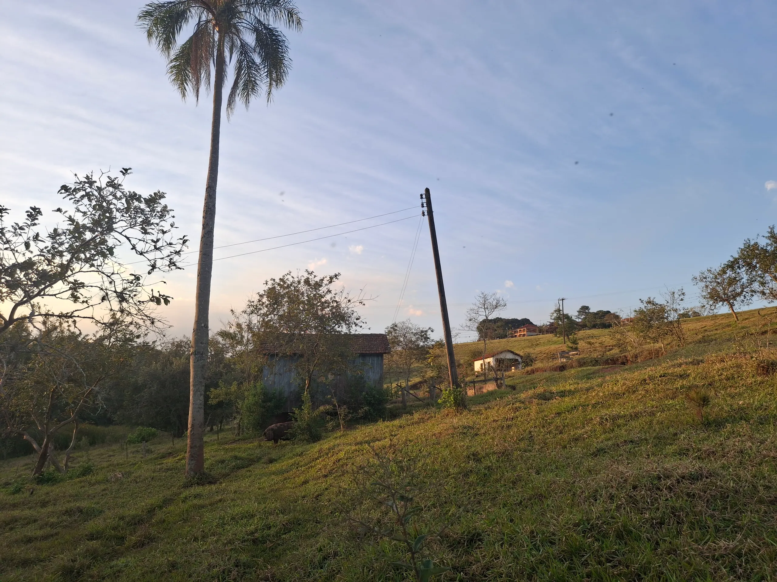 Sítio à venda de 44 ha em Piraju, SP, Brasil