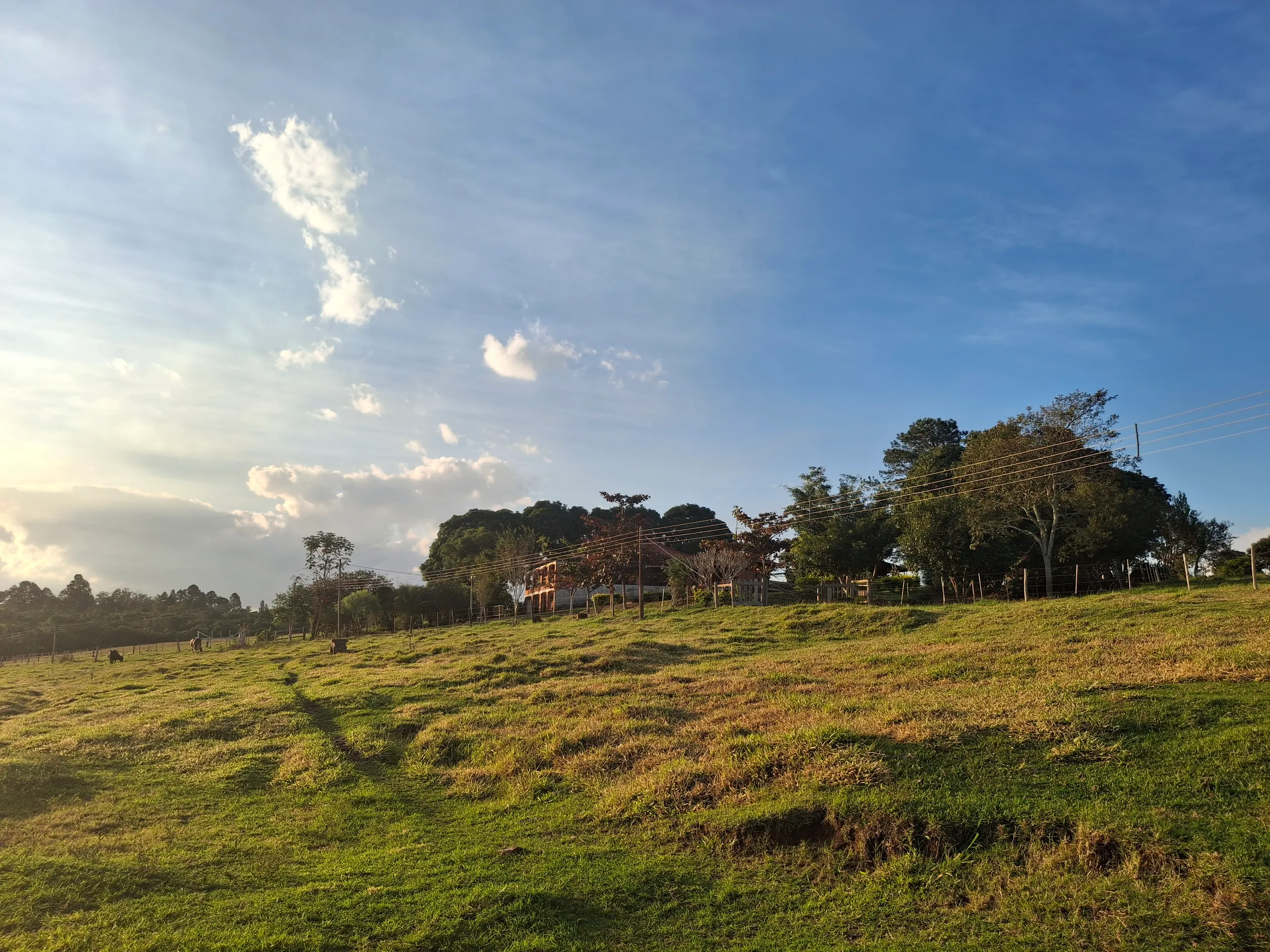 Small farm for sale of 109 acres in Piraju, SP, Brazil