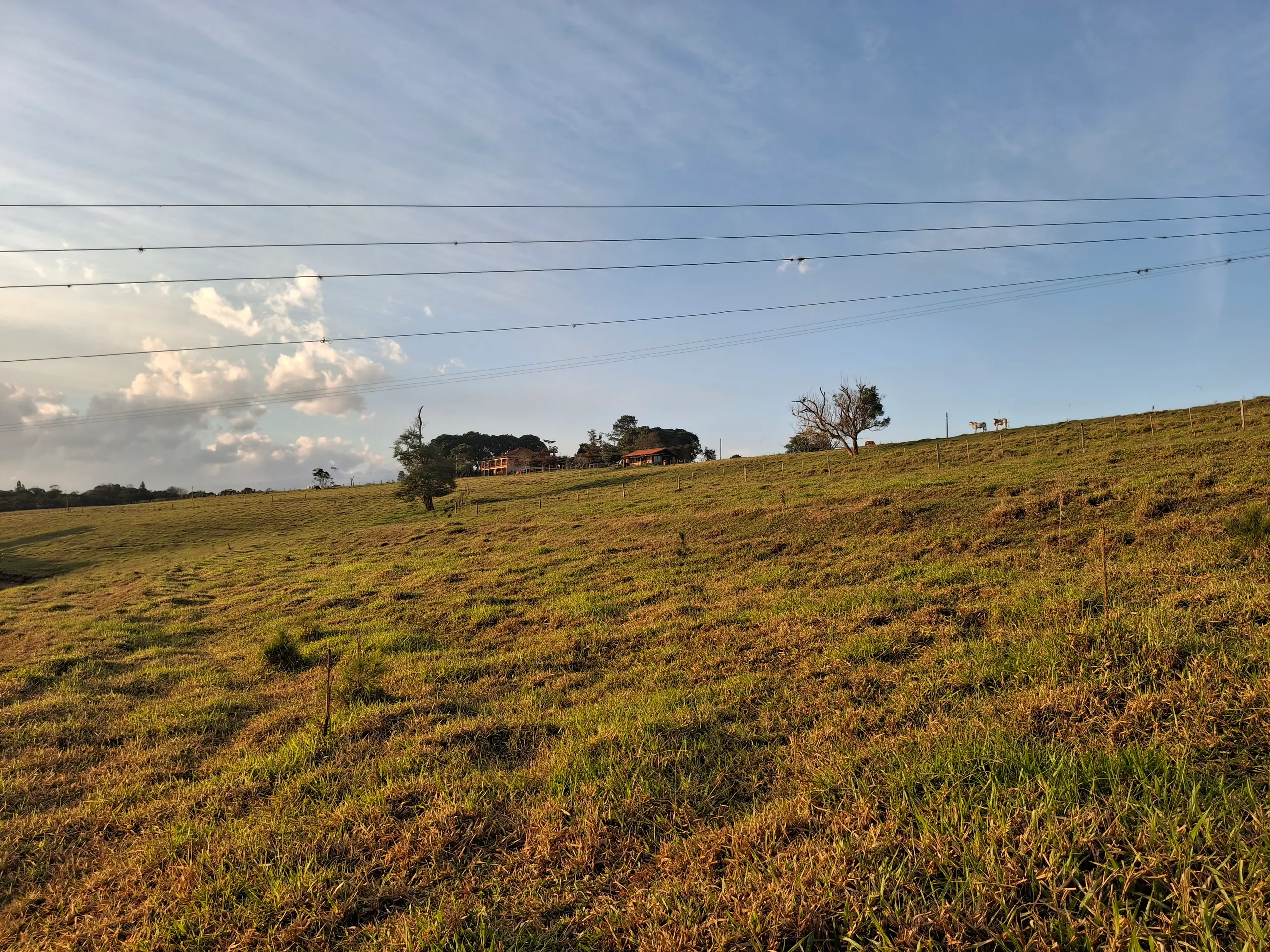 Sítio à venda de 44 ha em Piraju, SP, Brasil