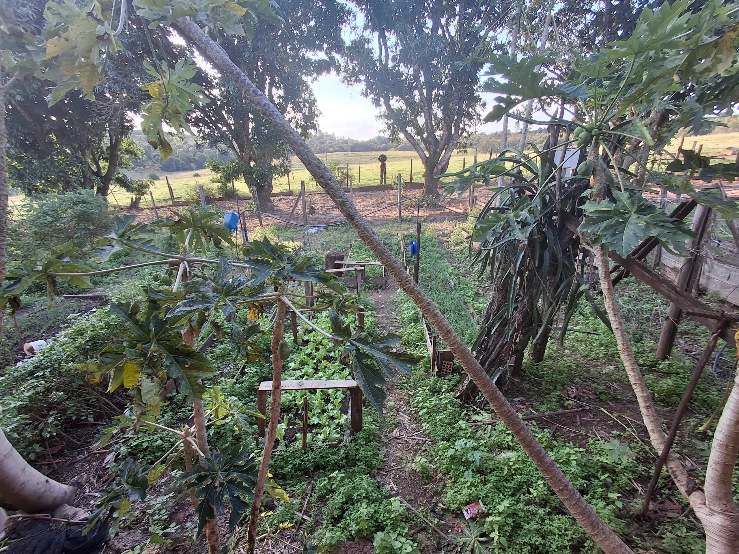 Sítio à venda de 44 ha em Piraju, SP, Brasil