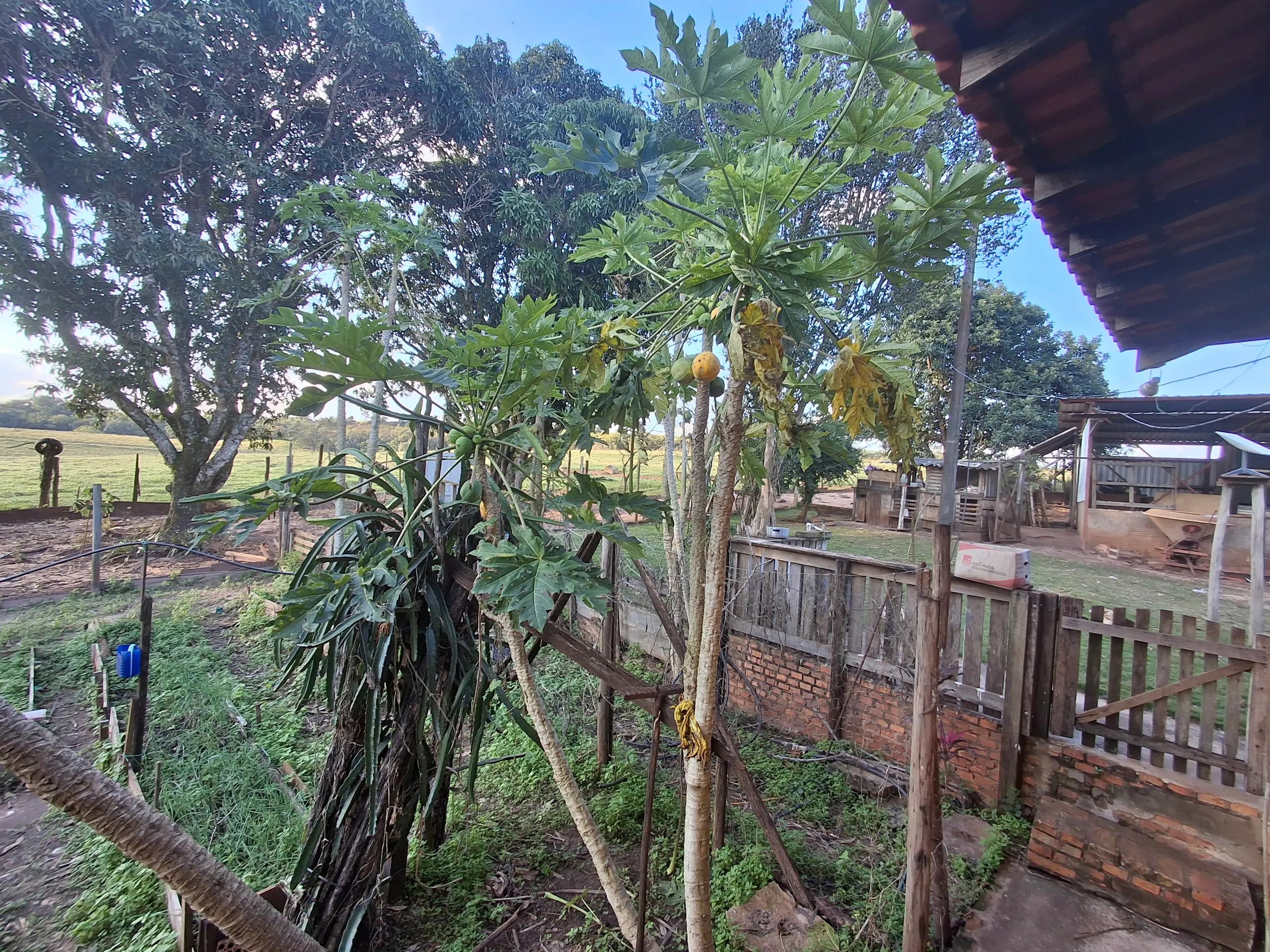 Sítio à venda de 44 ha em Piraju, SP, Brasil