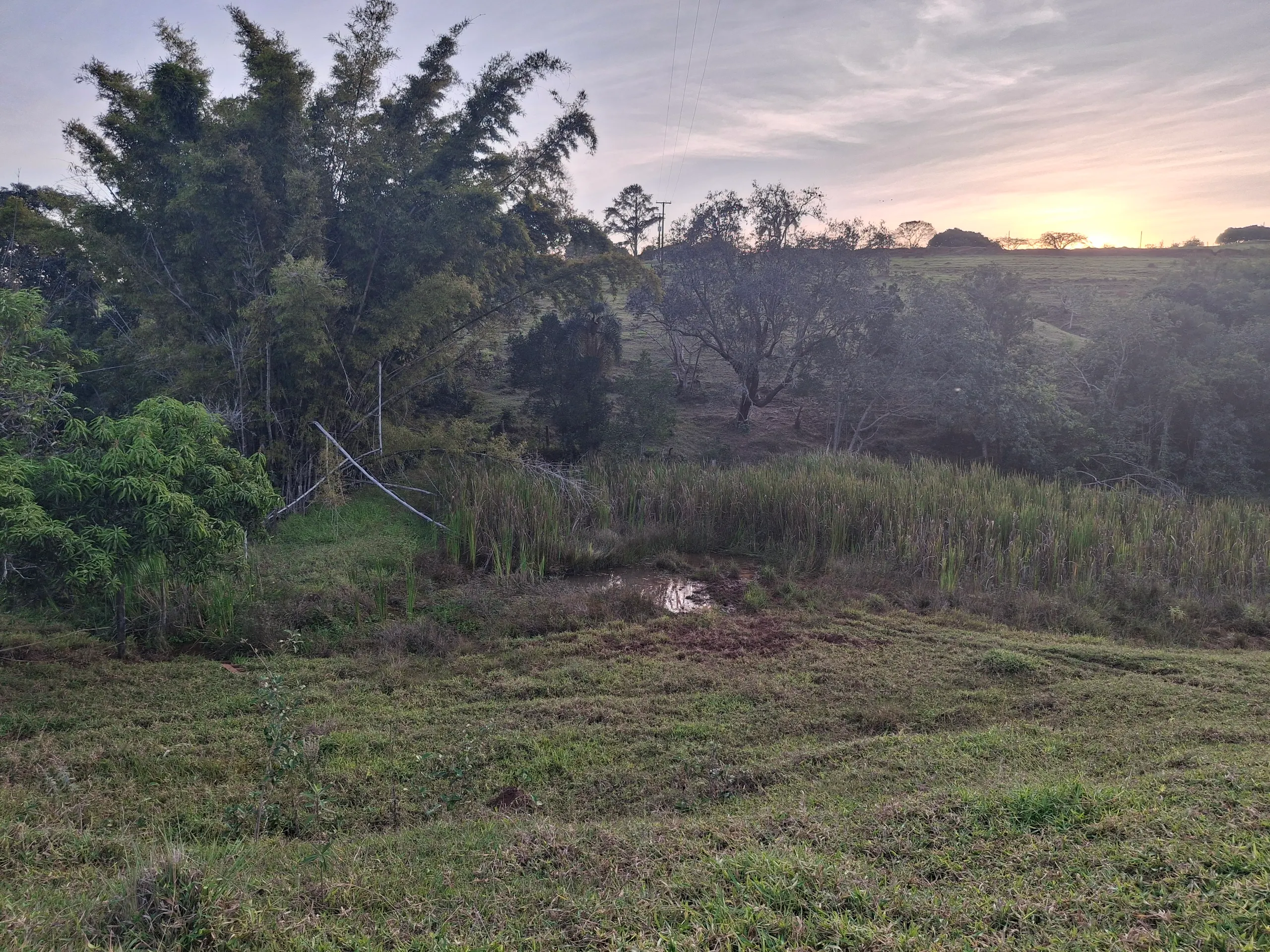 Sítio à venda de 44 ha em Piraju, SP, Brasil