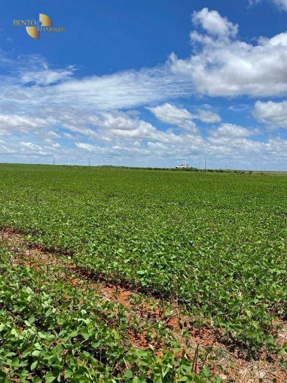 Fazenda à venda e para Arrendar de 890 ha em Diamantino, MT, Brasil