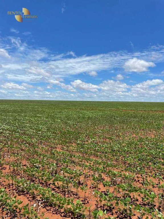 Fazenda à venda e para Arrendar de 890 ha em Diamantino, MT, Brasil