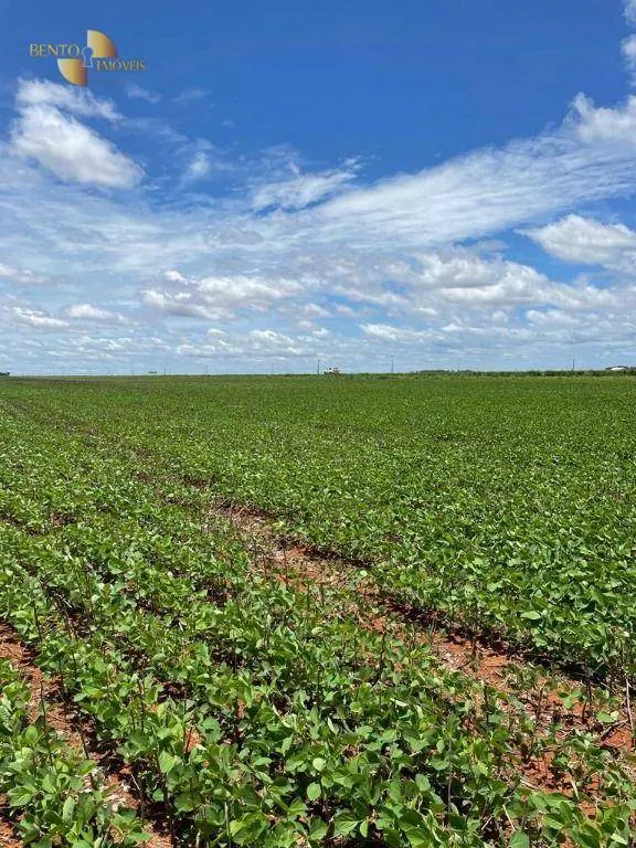 Fazenda à venda e para Arrendar de 890 ha em Diamantino, MT, Brasil
