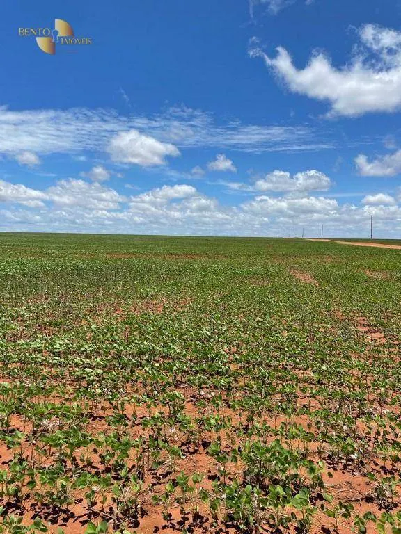 Fazenda à venda e para Arrendar de 890 ha em Diamantino, MT, Brasil