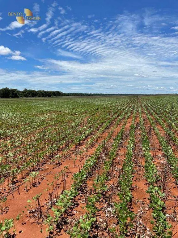 Fazenda à venda e para Arrendar de 890 ha em Diamantino, MT, Brasil