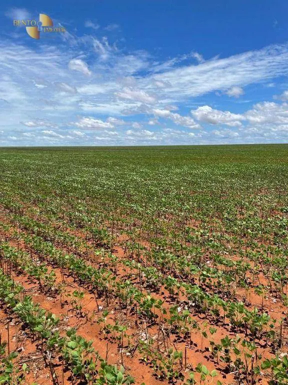 Fazenda à venda e para Arrendar de 890 ha em Diamantino, MT, Brasil