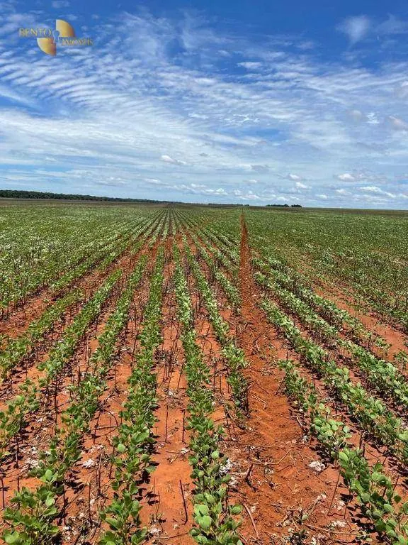 Fazenda à venda e para Arrendar de 890 ha em Diamantino, MT, Brasil