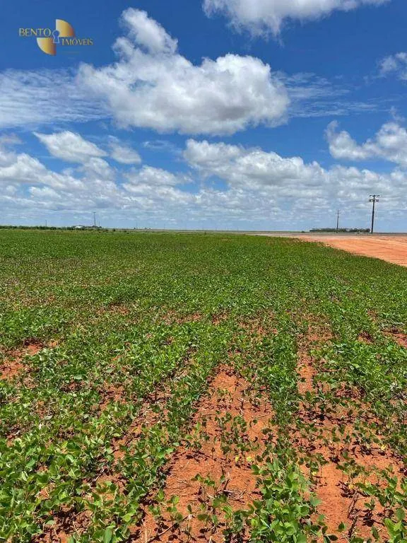 Fazenda à venda e para Arrendar de 890 ha em Diamantino, MT, Brasil