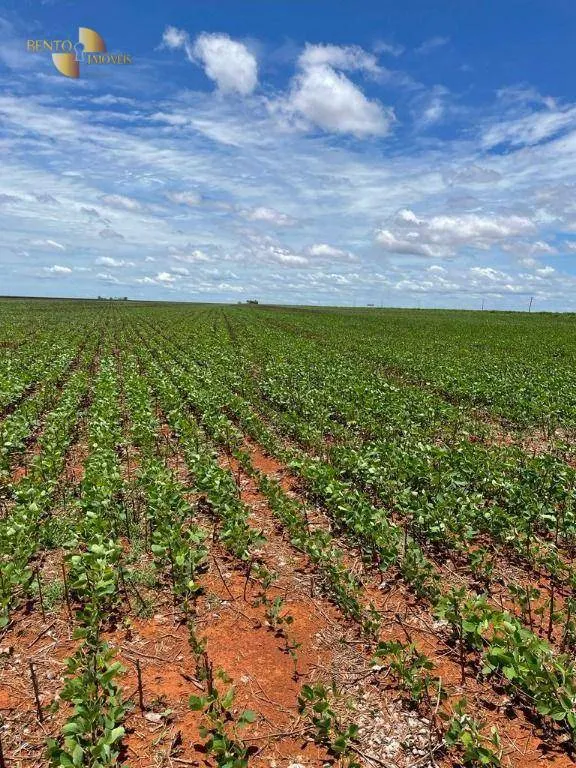 Fazenda à venda e para Arrendar de 890 ha em Diamantino, MT, Brasil