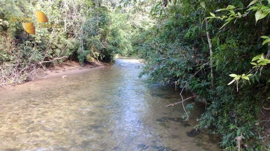 Farm for sale of 9,761 acres in Nova Brasilândia, MT, Brazil