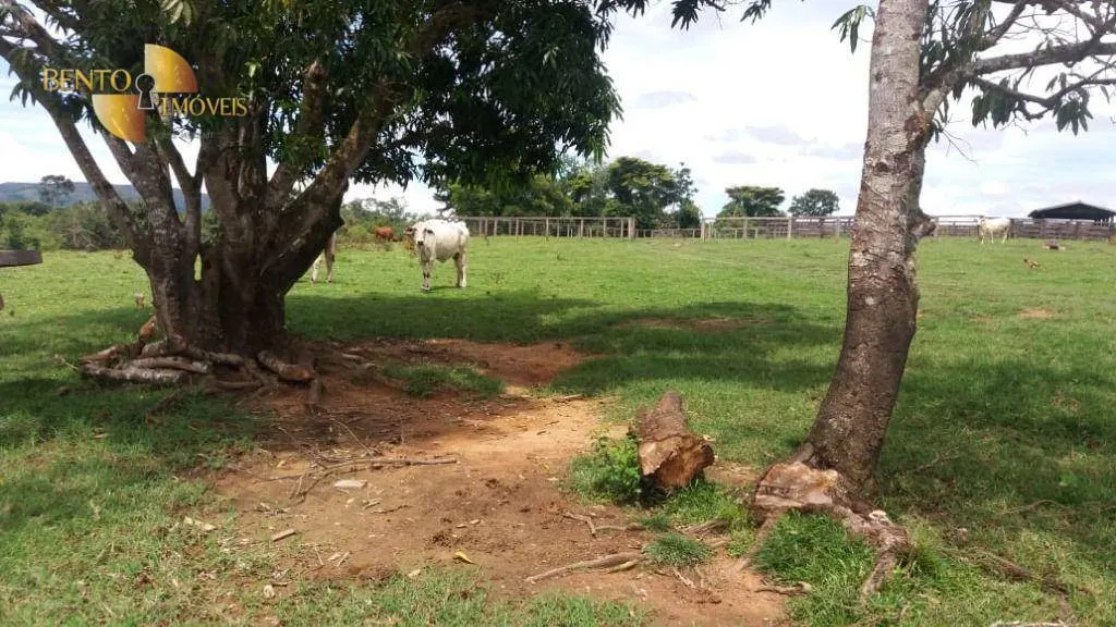 Farm for sale of 9,761 acres in Nova Brasilândia, MT, Brazil