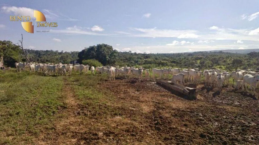 Farm for sale of 9,761 acres in Nova Brasilândia, MT, Brazil