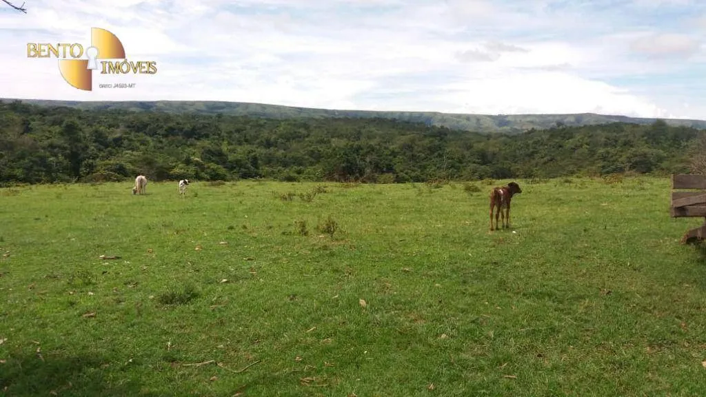 Farm for sale of 9,761 acres in Nova Brasilândia, MT, Brazil