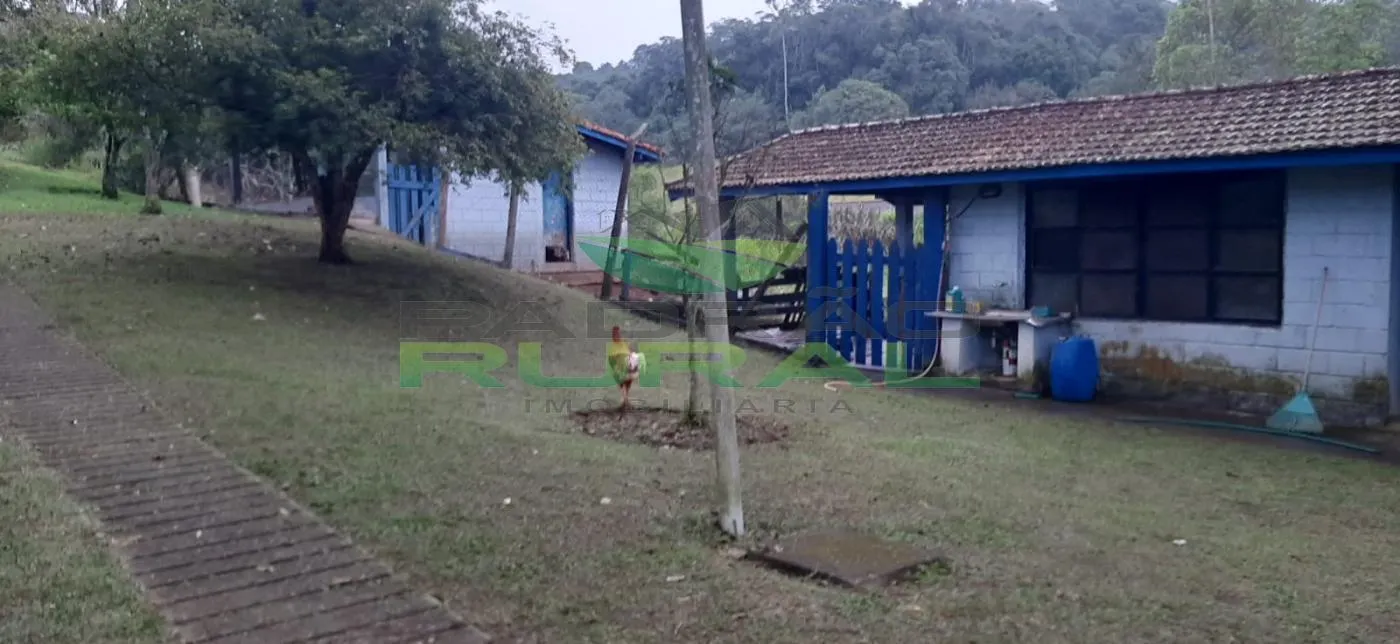 Sítio à venda de 4 ha em São Roque, SP, Brasil