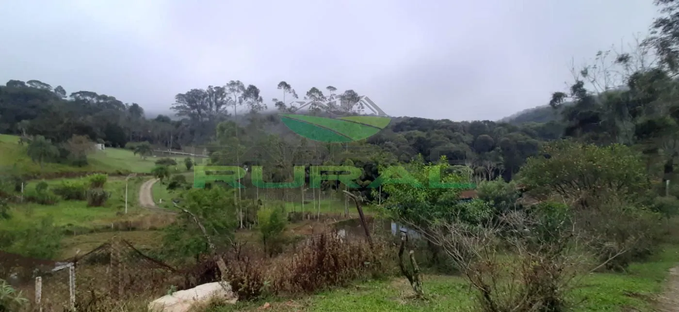 Sítio à venda de 4 ha em São Roque, SP, Brasil