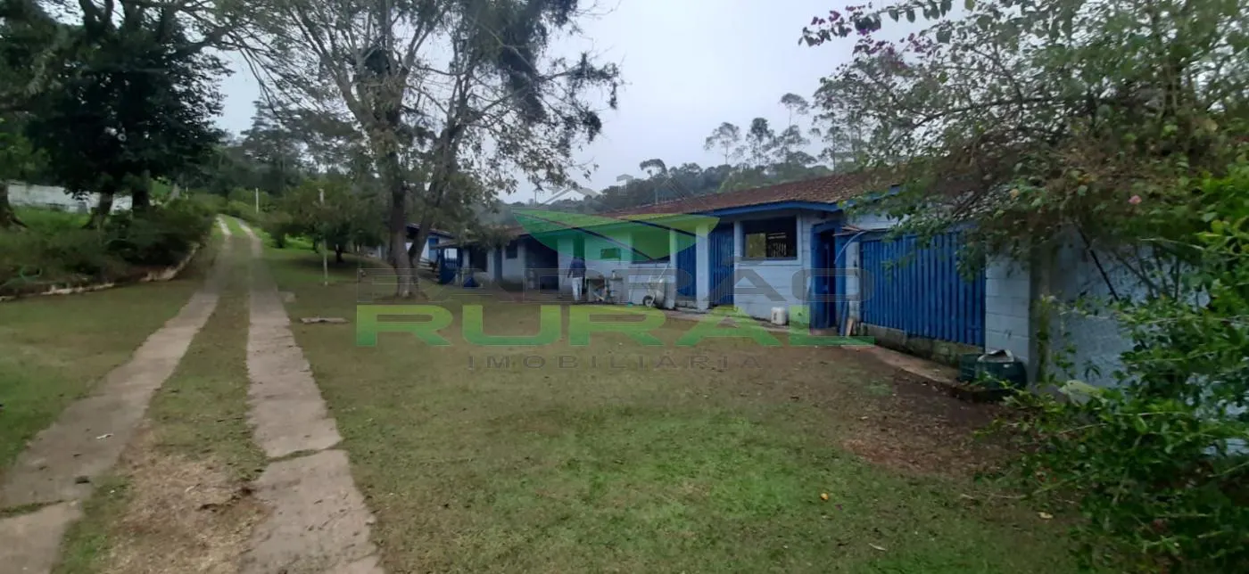 Sítio à venda de 4 ha em São Roque, SP, Brasil