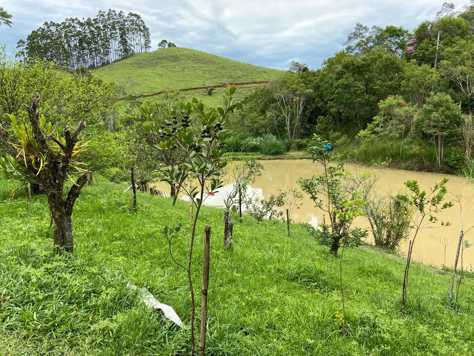 Small farm for sale of 96 acres in São Luiz do Paraitinga, SP, Brazil