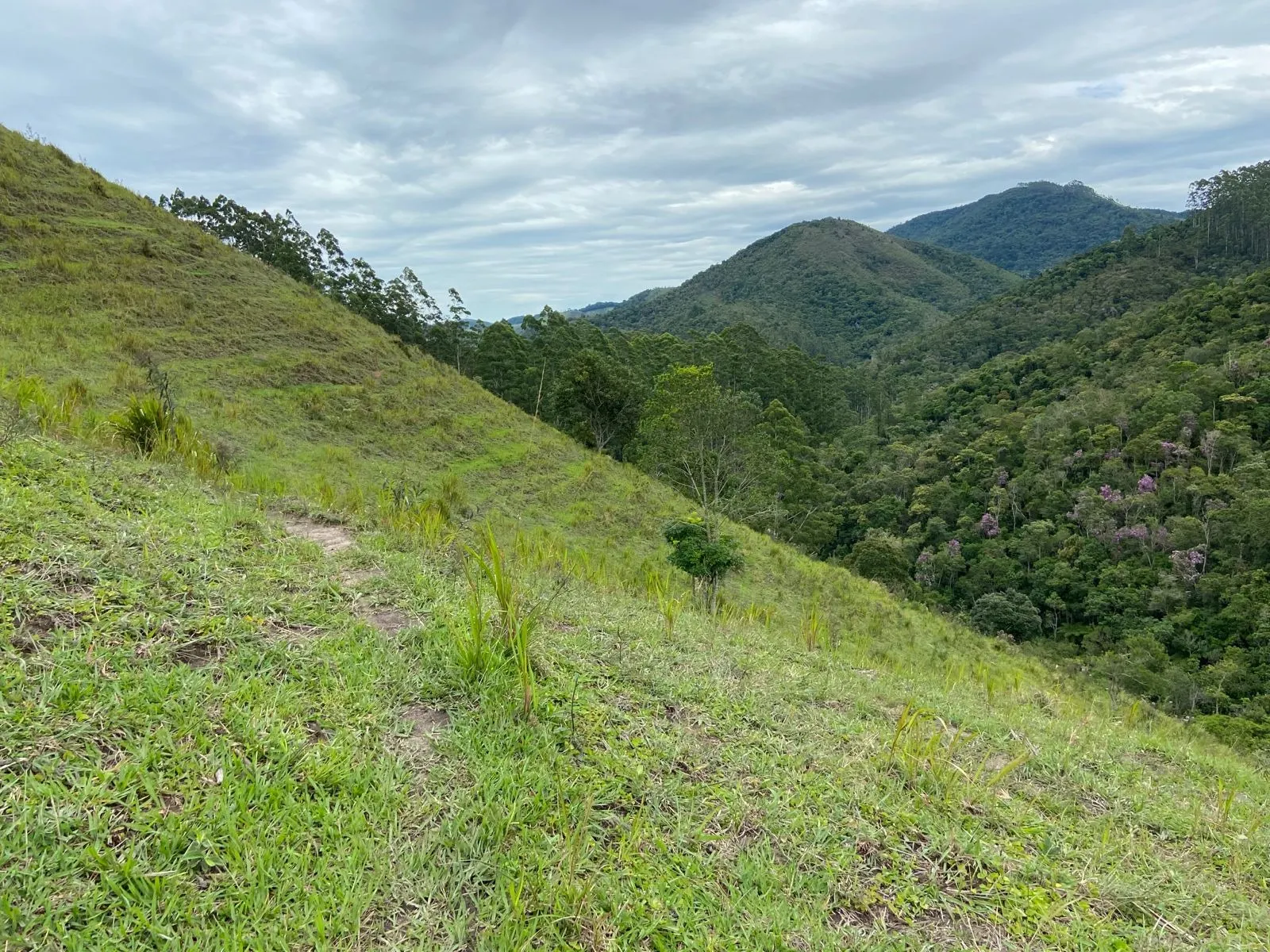 Small farm for sale of 96 acres in São Luiz do Paraitinga, SP, Brazil