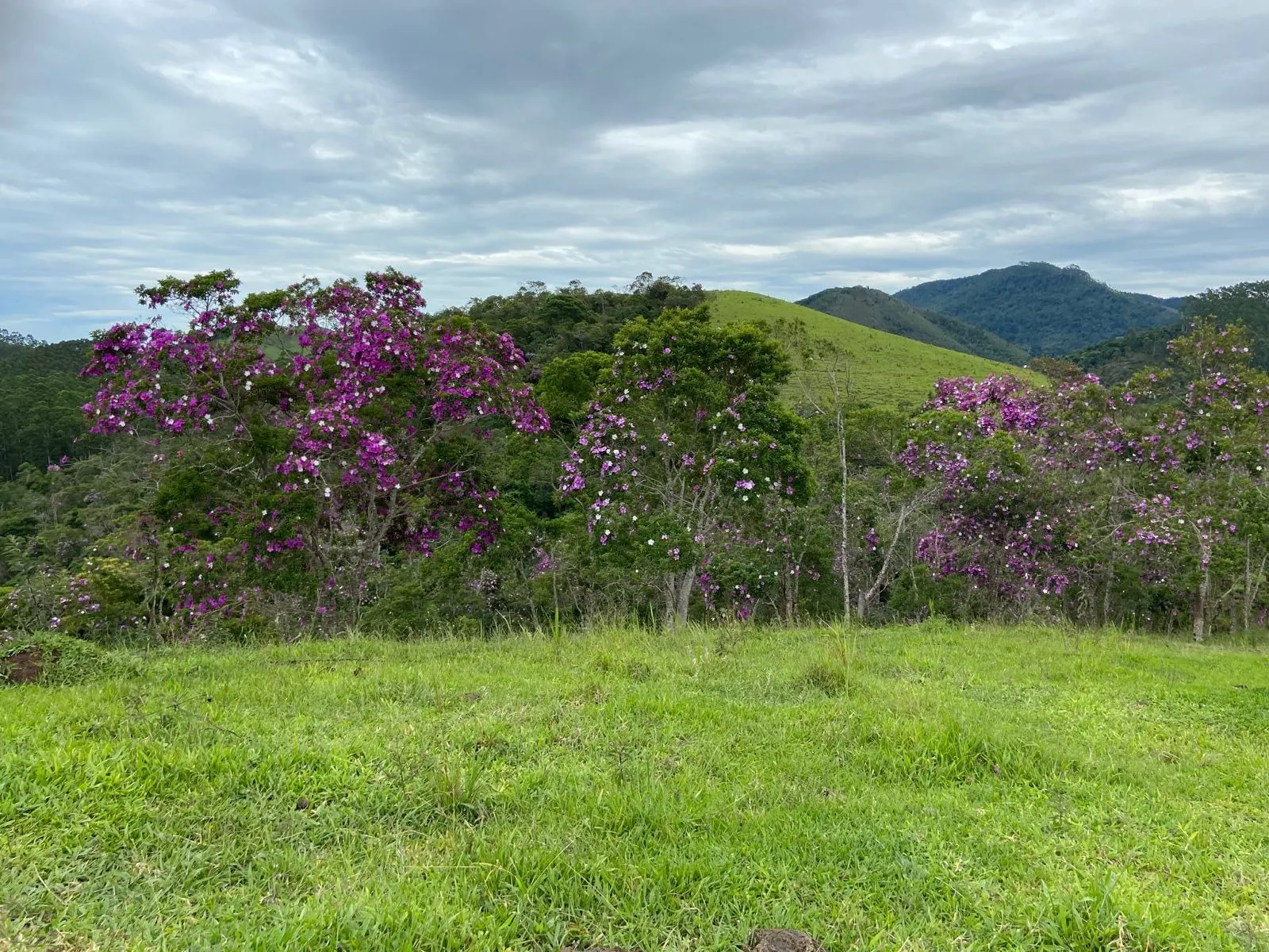 Small farm for sale of 96 acres in São Luiz do Paraitinga, SP, Brazil