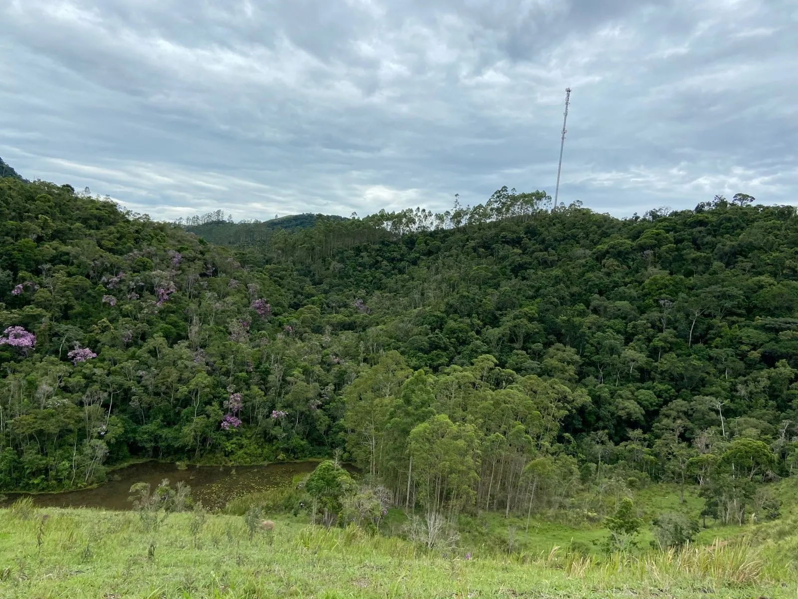 Small farm for sale of 96 acres in São Luiz do Paraitinga, SP, Brazil