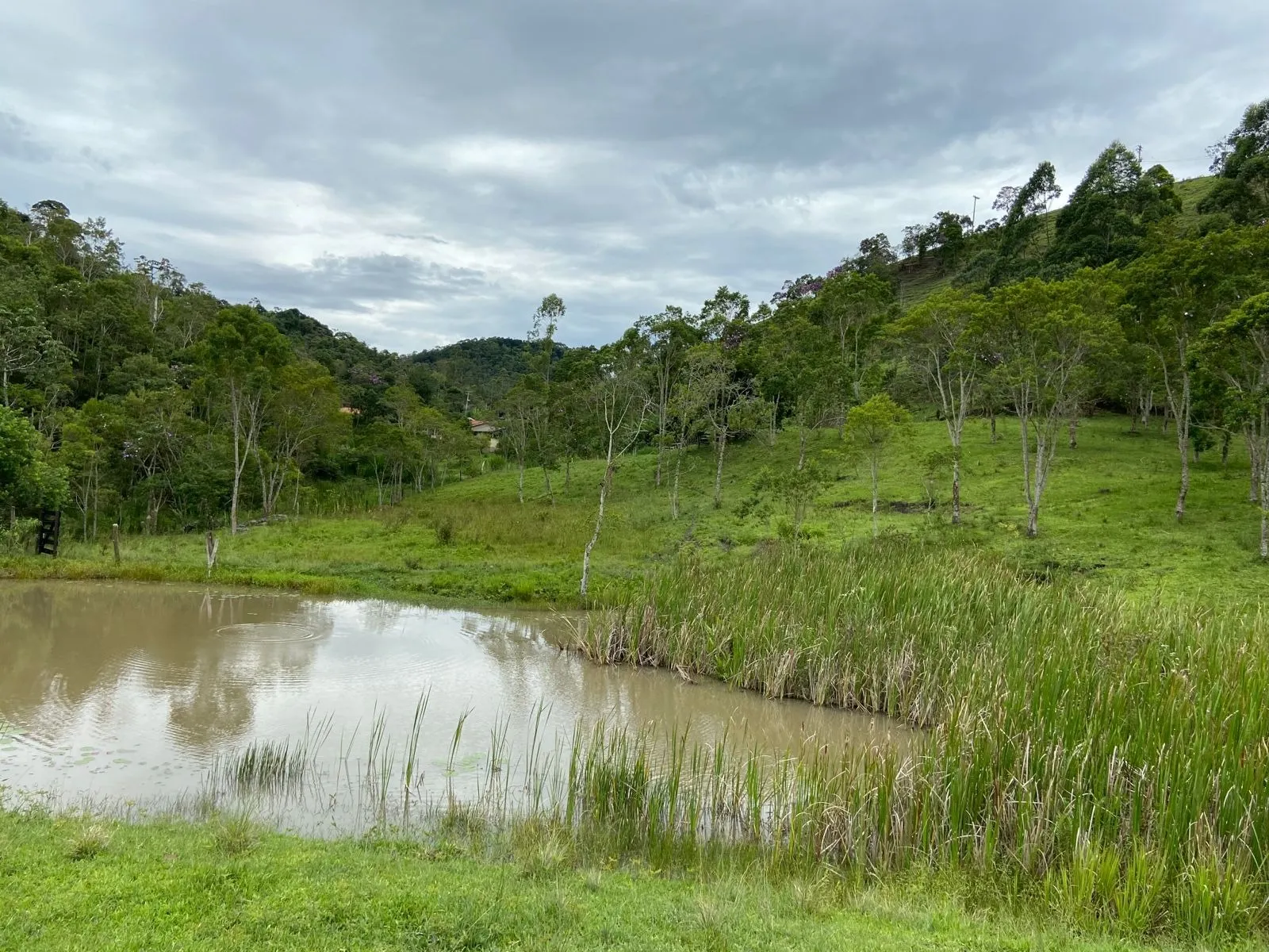 Small farm for sale of 96 acres in São Luiz do Paraitinga, SP, Brazil