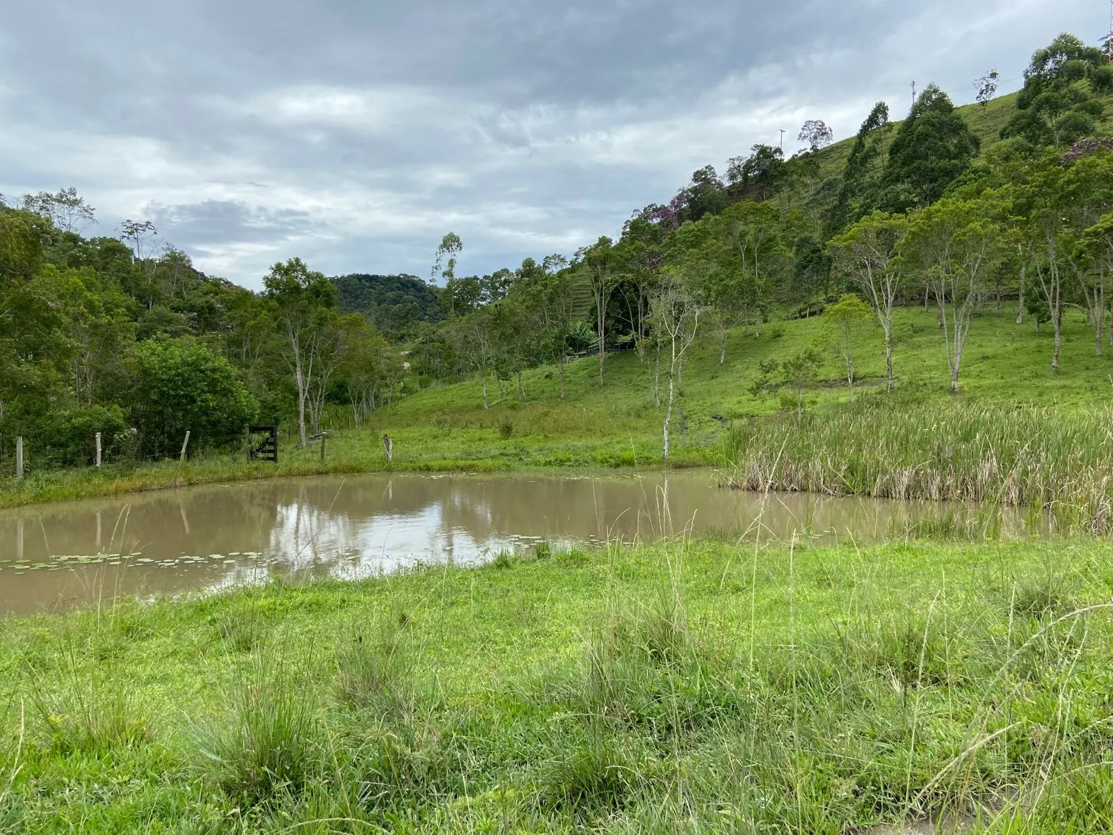 Small farm for sale of 96 acres in São Luiz do Paraitinga, SP, Brazil