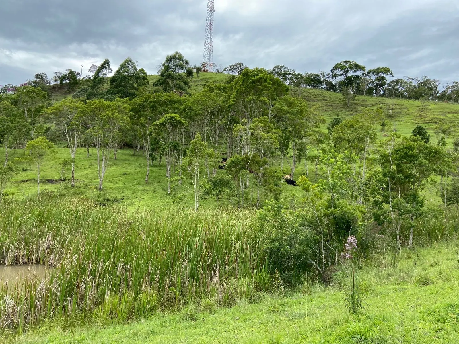 Small farm for sale of 96 acres in São Luiz do Paraitinga, SP, Brazil