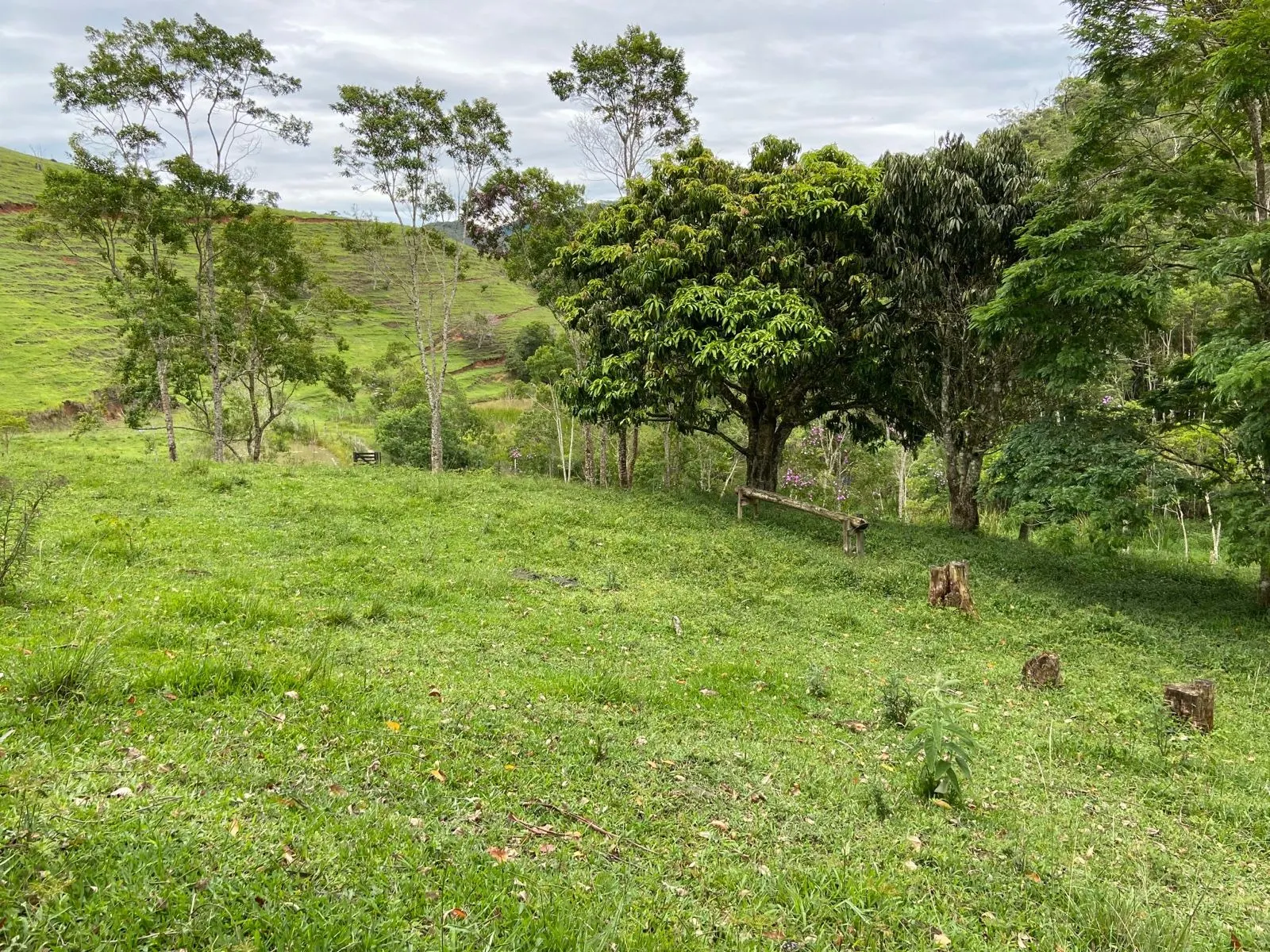 Small farm for sale of 96 acres in São Luiz do Paraitinga, SP, Brazil