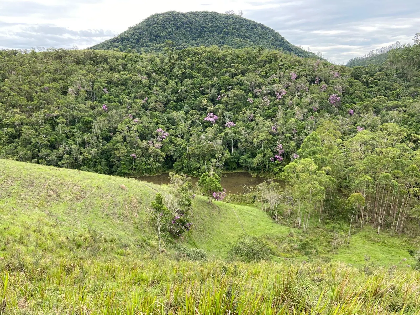 Small farm for sale of 96 acres in São Luiz do Paraitinga, SP, Brazil
