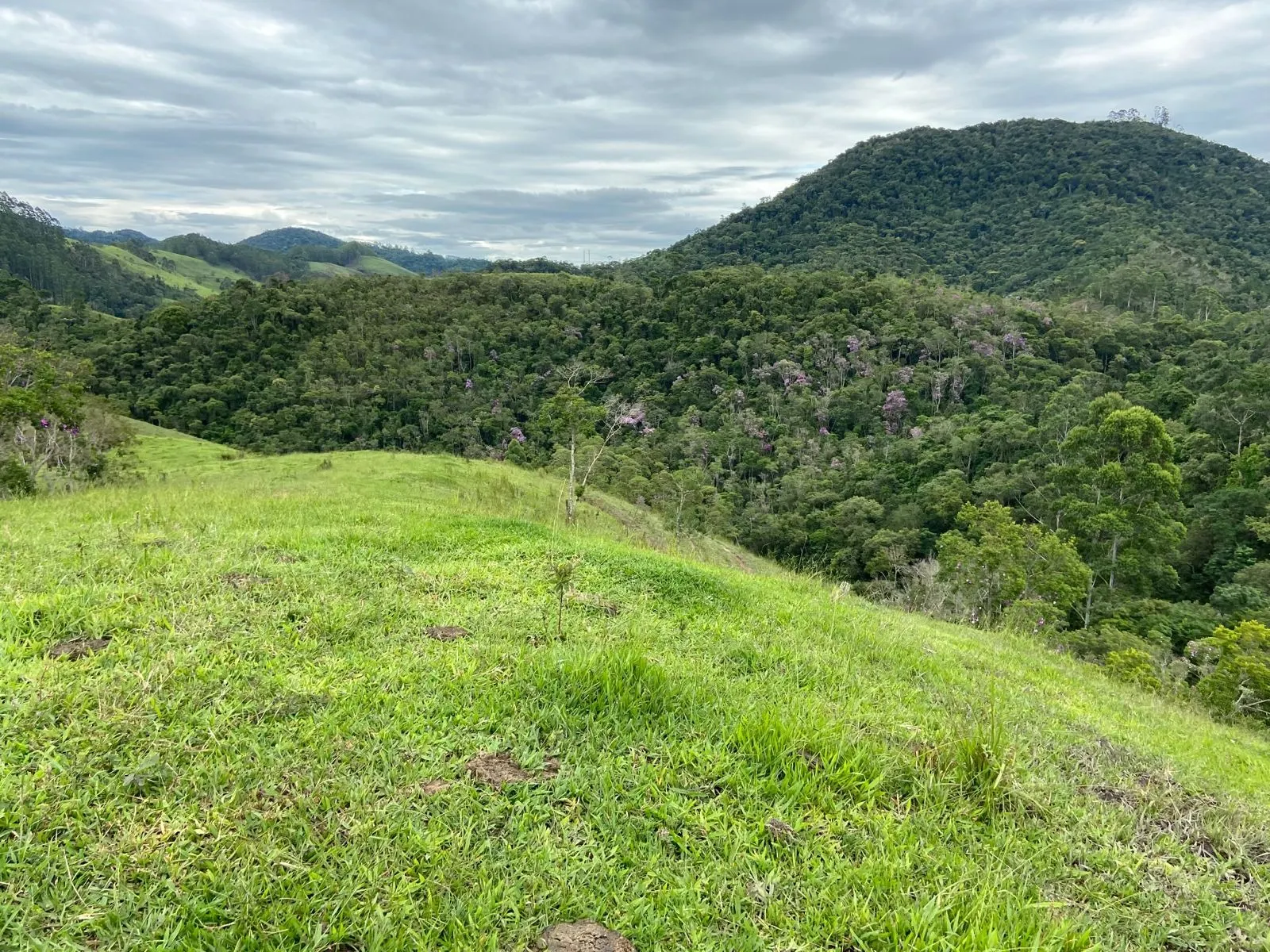 Small farm for sale of 96 acres in São Luiz do Paraitinga, SP, Brazil