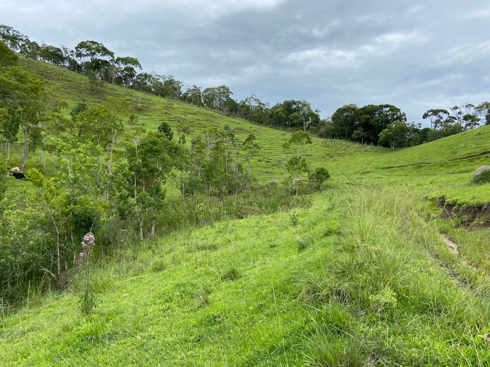 Small farm for sale of 96 acres in São Luiz do Paraitinga, SP, Brazil