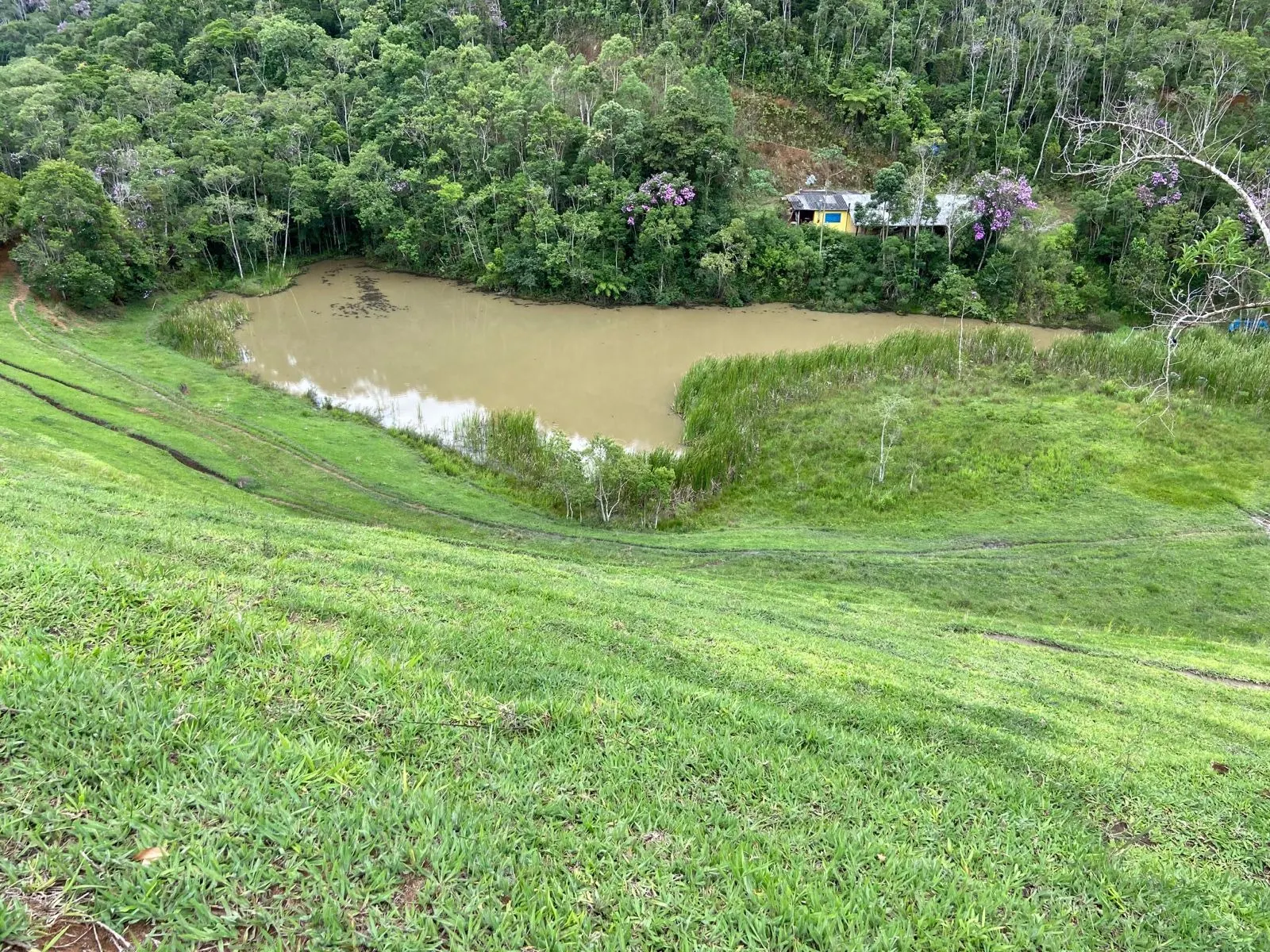 Small farm for sale of 96 acres in São Luiz do Paraitinga, SP, Brazil