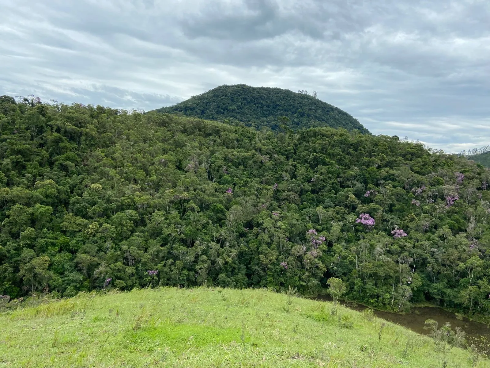 Small farm for sale of 96 acres in São Luiz do Paraitinga, SP, Brazil