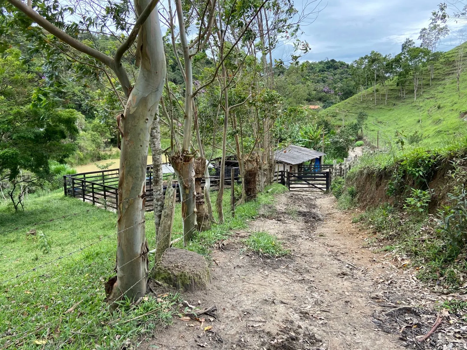 Small farm for sale of 96 acres in São Luiz do Paraitinga, SP, Brazil