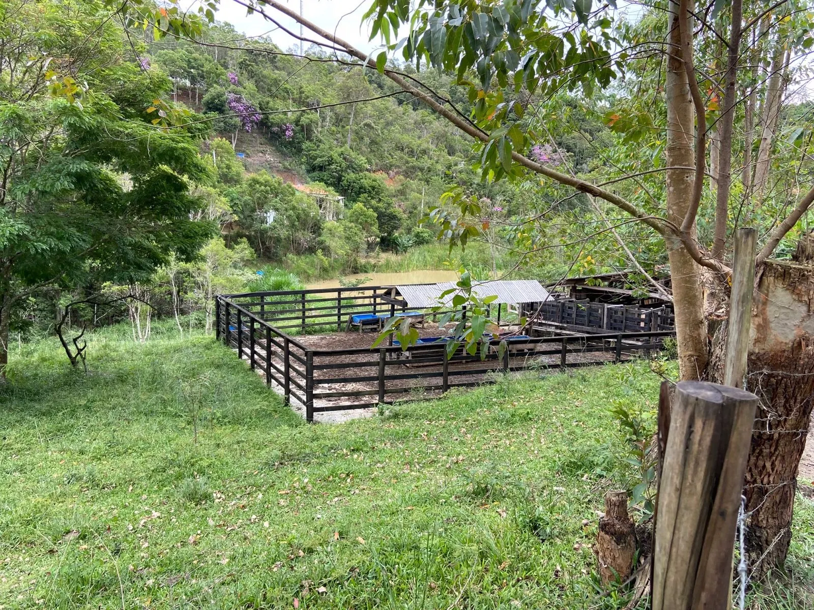 Small farm for sale of 96 acres in São Luiz do Paraitinga, SP, Brazil