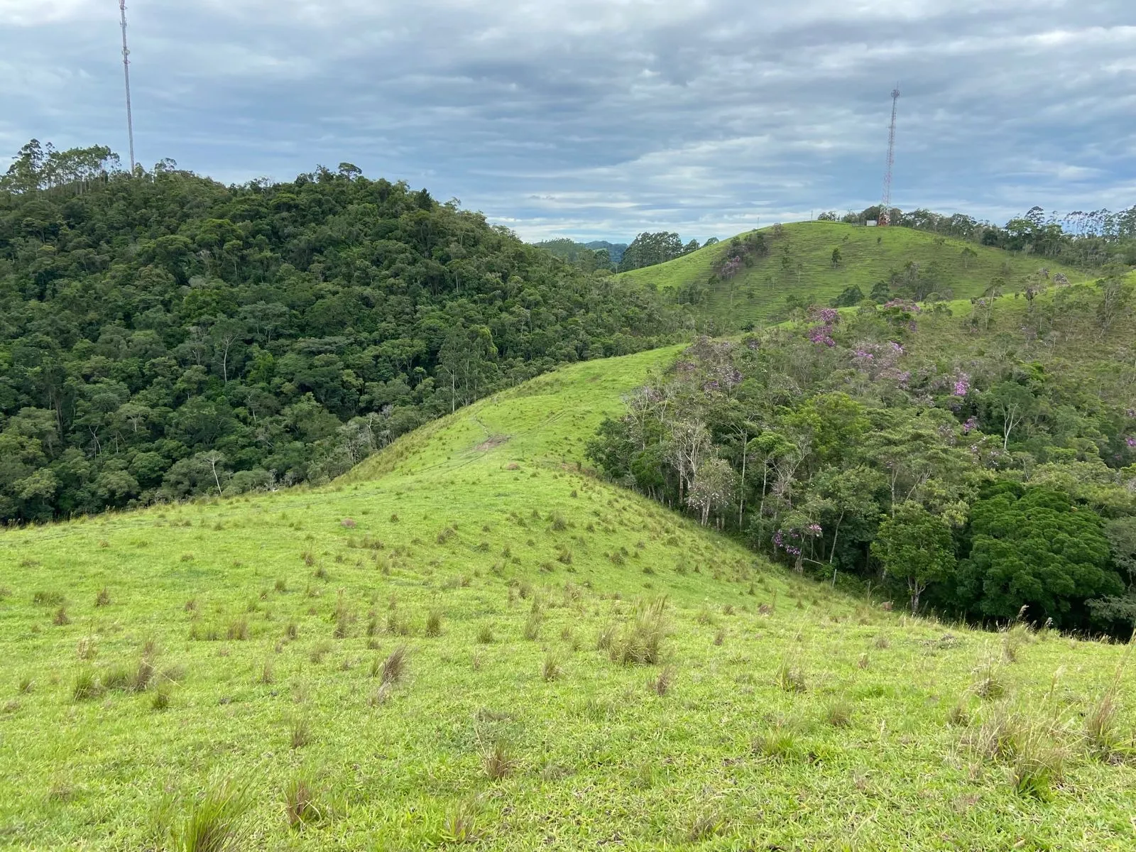 Small farm for sale of 96 acres in São Luiz do Paraitinga, SP, Brazil