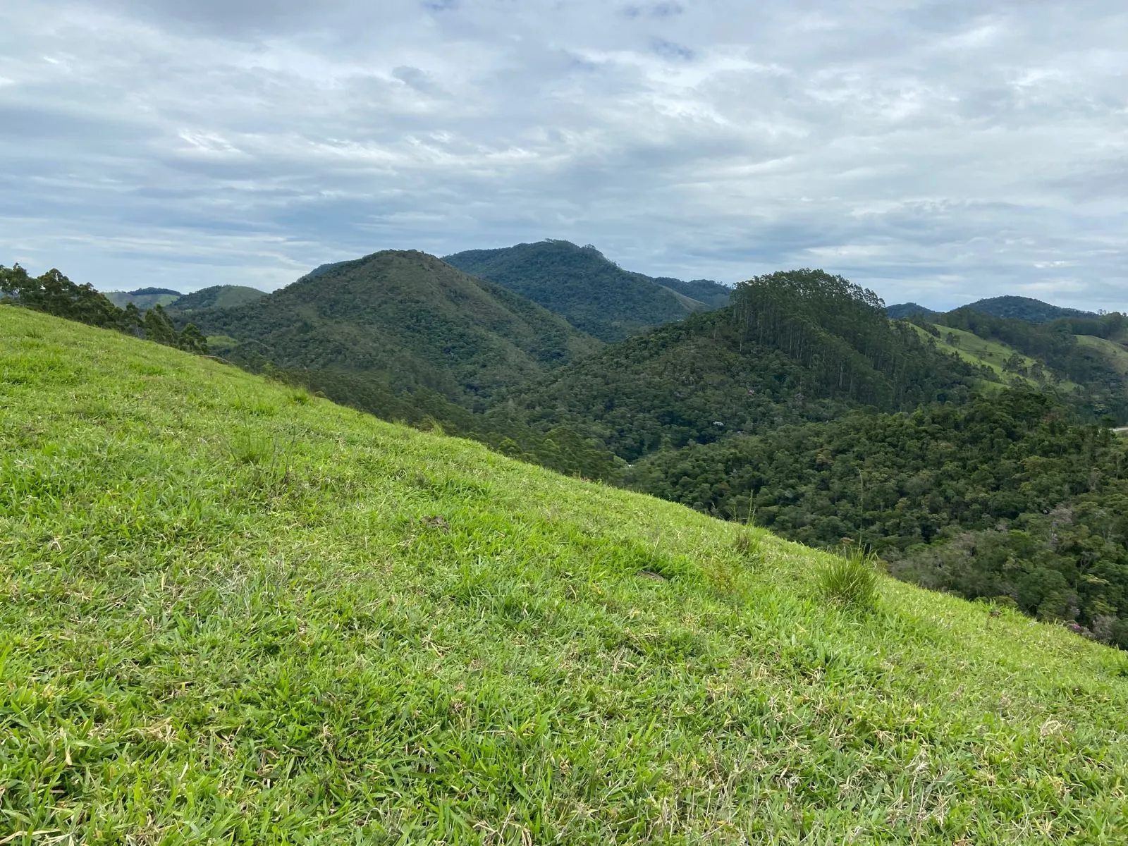 Small farm for sale of 96 acres in São Luiz do Paraitinga, SP, Brazil