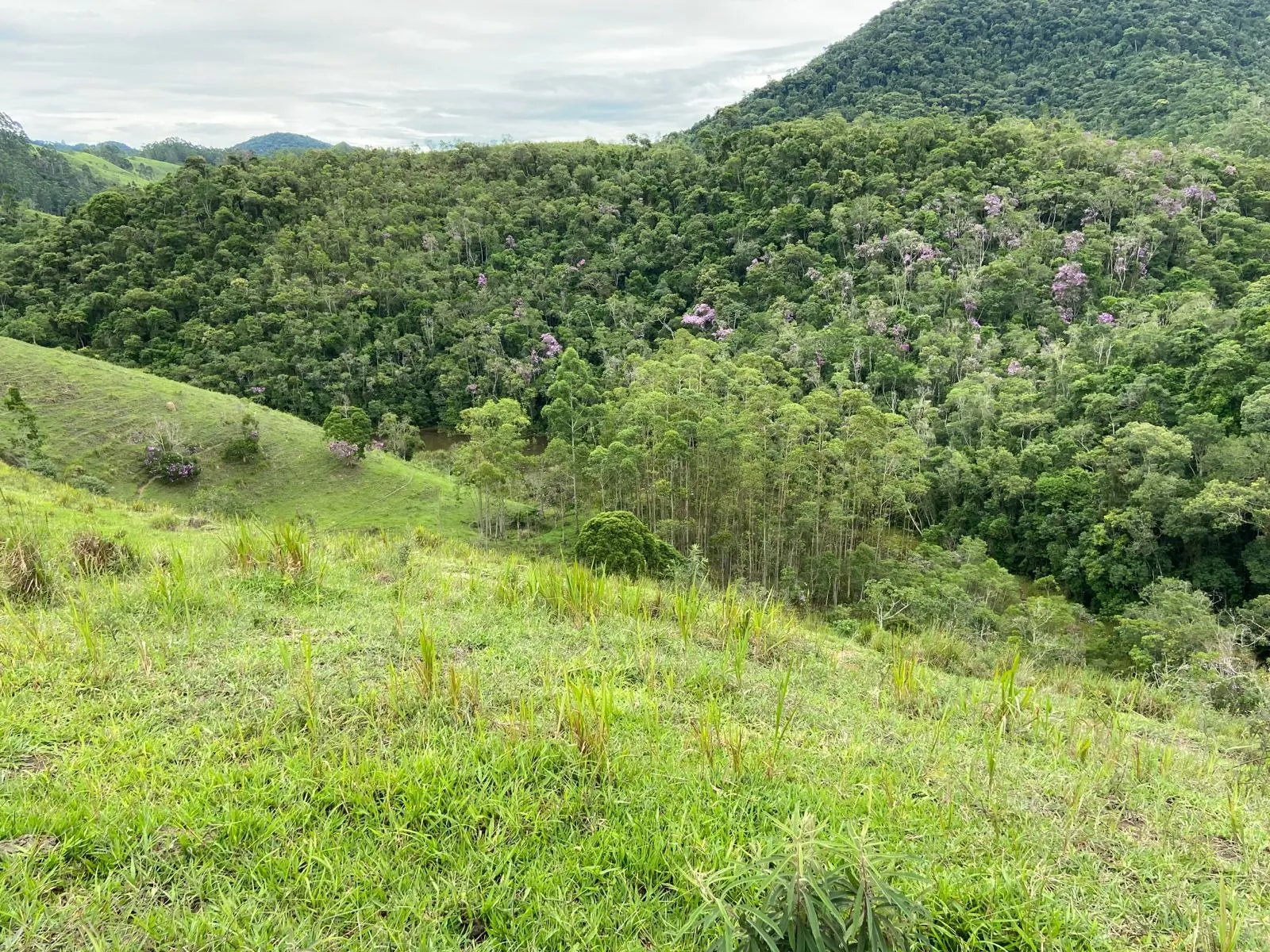 Small farm for sale of 96 acres in São Luiz do Paraitinga, SP, Brazil