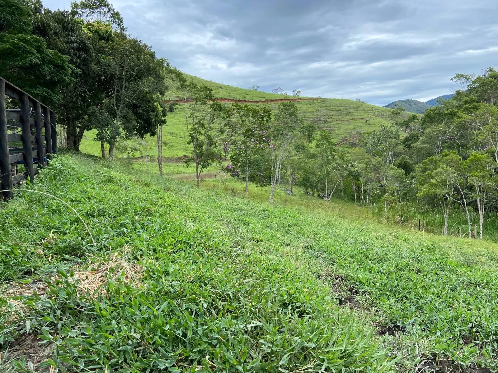 Small farm for sale of 96 acres in São Luiz do Paraitinga, SP, Brazil