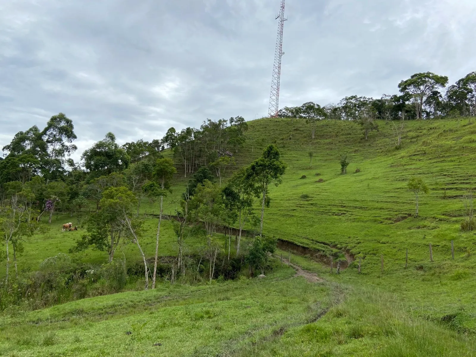 Small farm for sale of 96 acres in São Luiz do Paraitinga, SP, Brazil