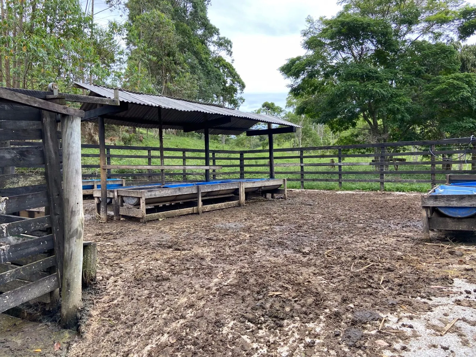 Small farm for sale of 96 acres in São Luiz do Paraitinga, SP, Brazil