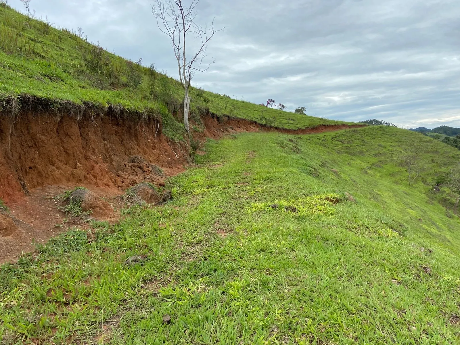 Small farm for sale of 96 acres in São Luiz do Paraitinga, SP, Brazil