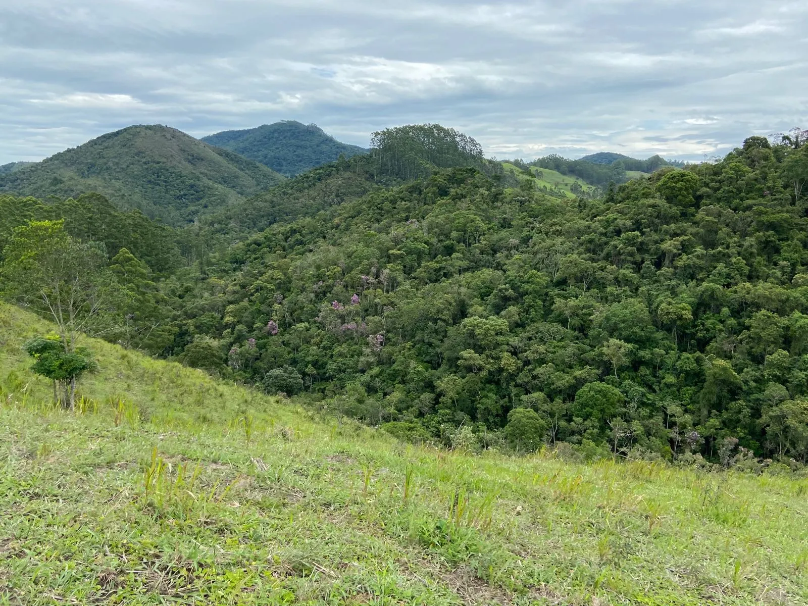 Small farm for sale of 96 acres in São Luiz do Paraitinga, SP, Brazil
