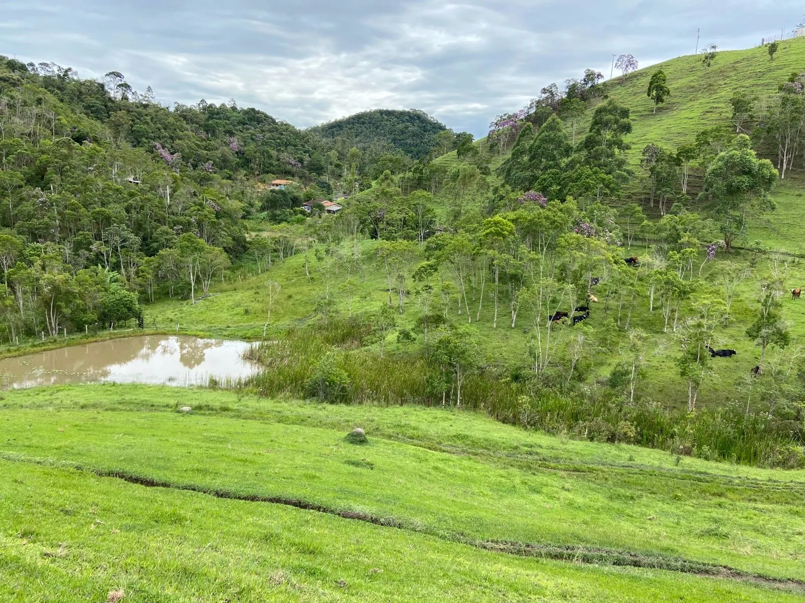Small farm for sale of 96 acres in São Luiz do Paraitinga, SP, Brazil