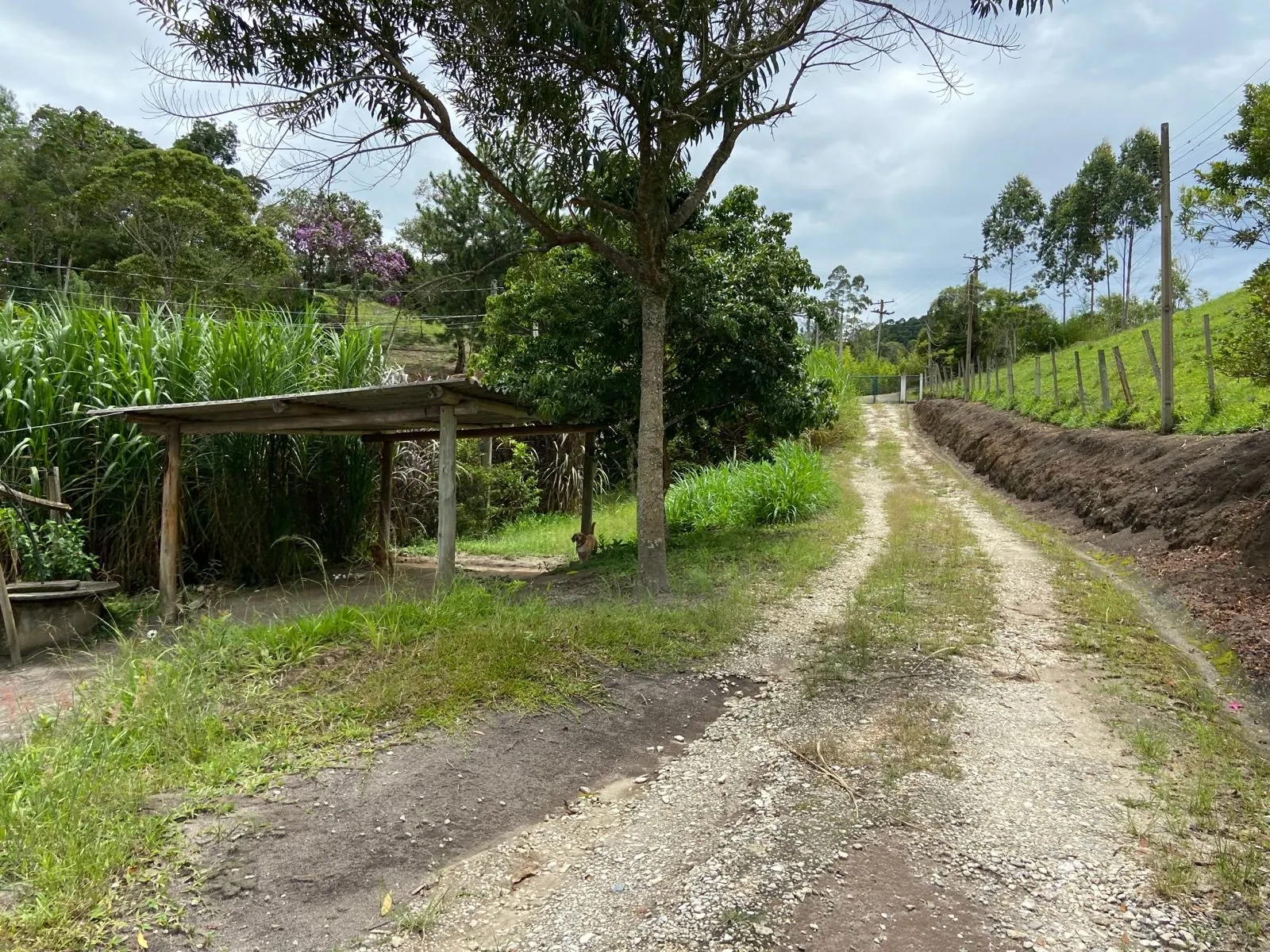 Small farm for sale of 96 acres in São Luiz do Paraitinga, SP, Brazil