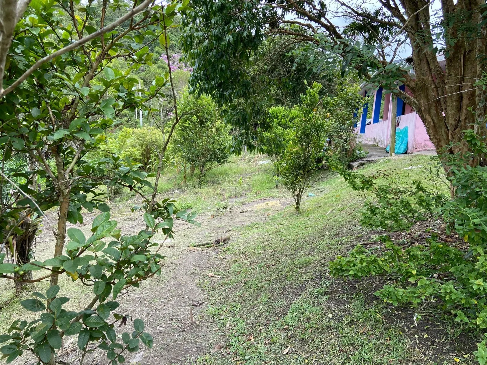 Small farm for sale of 96 acres in São Luiz do Paraitinga, SP, Brazil