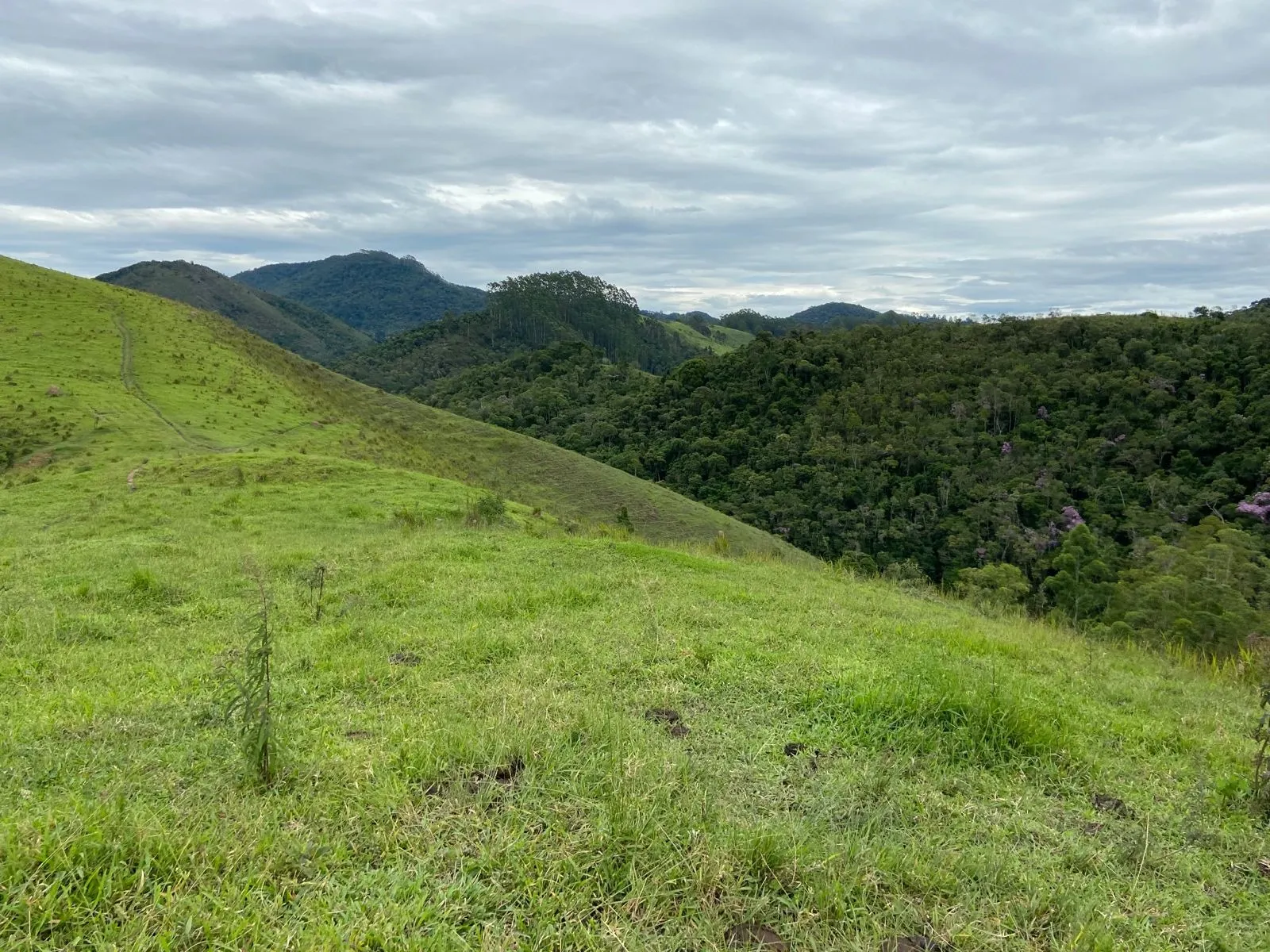 Small farm for sale of 96 acres in São Luiz do Paraitinga, SP, Brazil