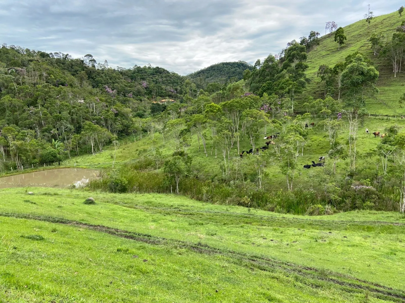 Small farm for sale of 96 acres in São Luiz do Paraitinga, SP, Brazil